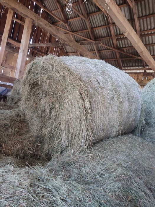 Sprzedam siano i słome