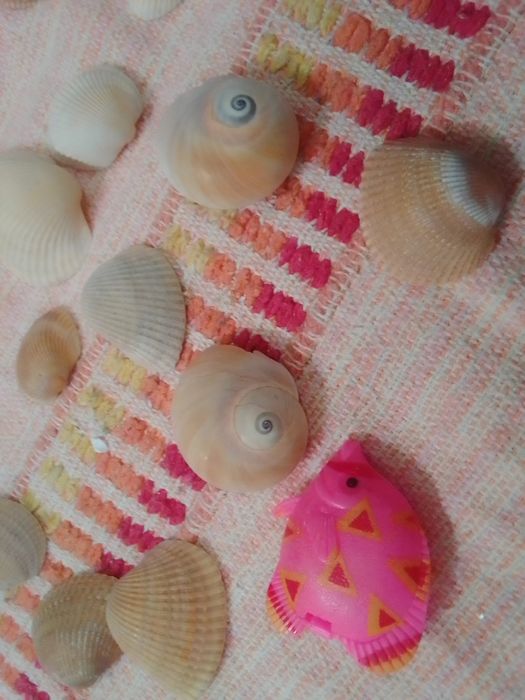 Peças para aquário de peixes só 3€