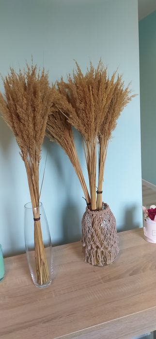 Trawa ozdobna naturalna Boho bukiet 30 sztuk 70 cm