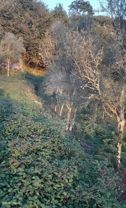 Terreno  para venda