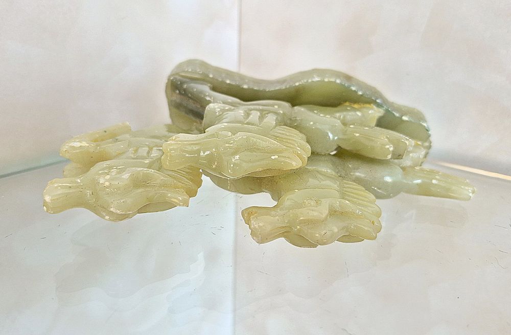 Лошаді коні лошадь