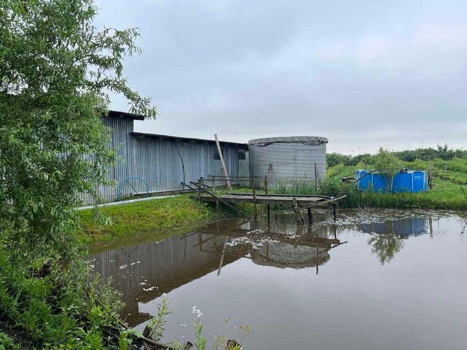 господарський комплекс 9,7 га, ягідно-овочеве підприєство, Львів