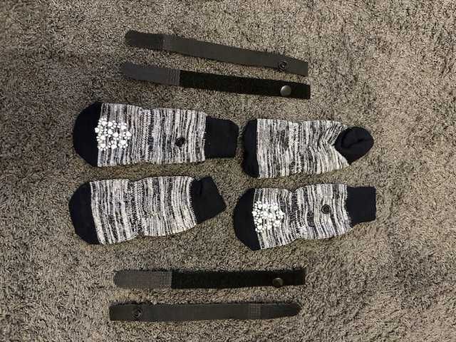 Acessórios para Cão