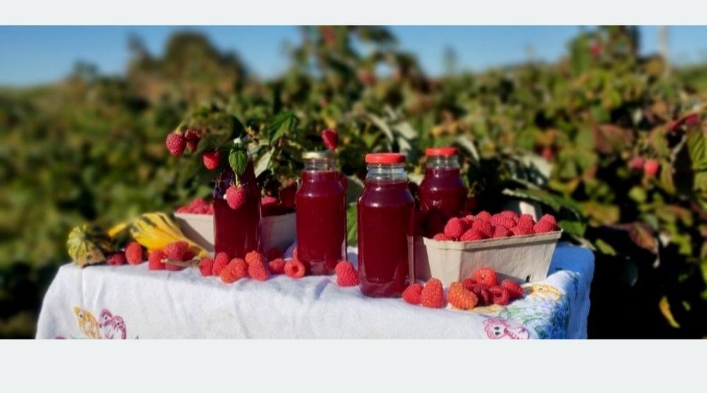 Sok malinowy 10butelek po 330ml