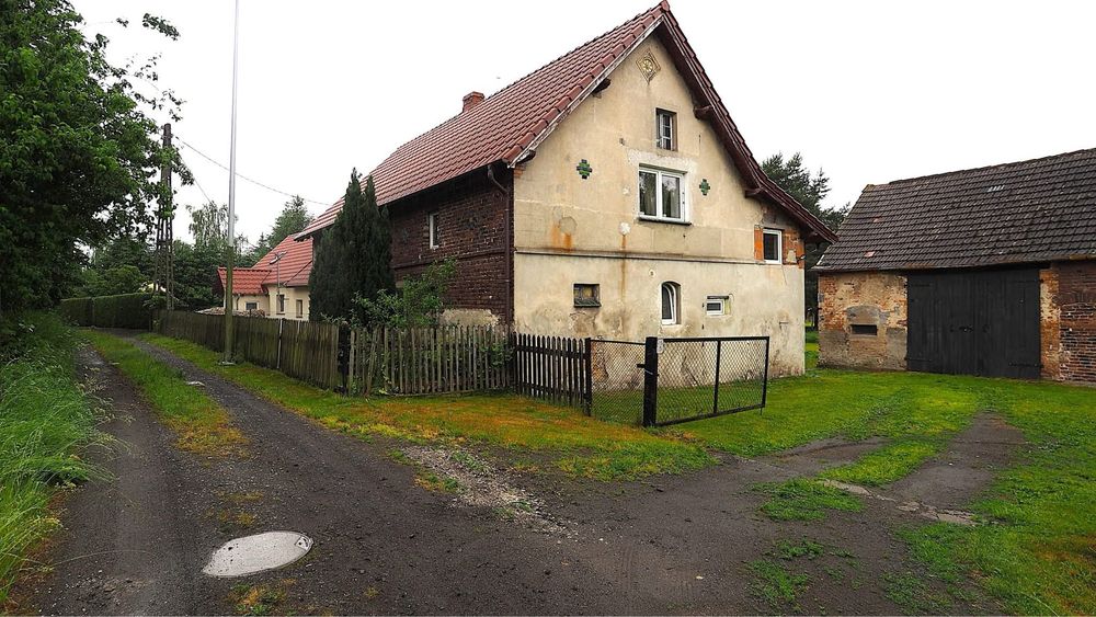 Zdjęcie 8