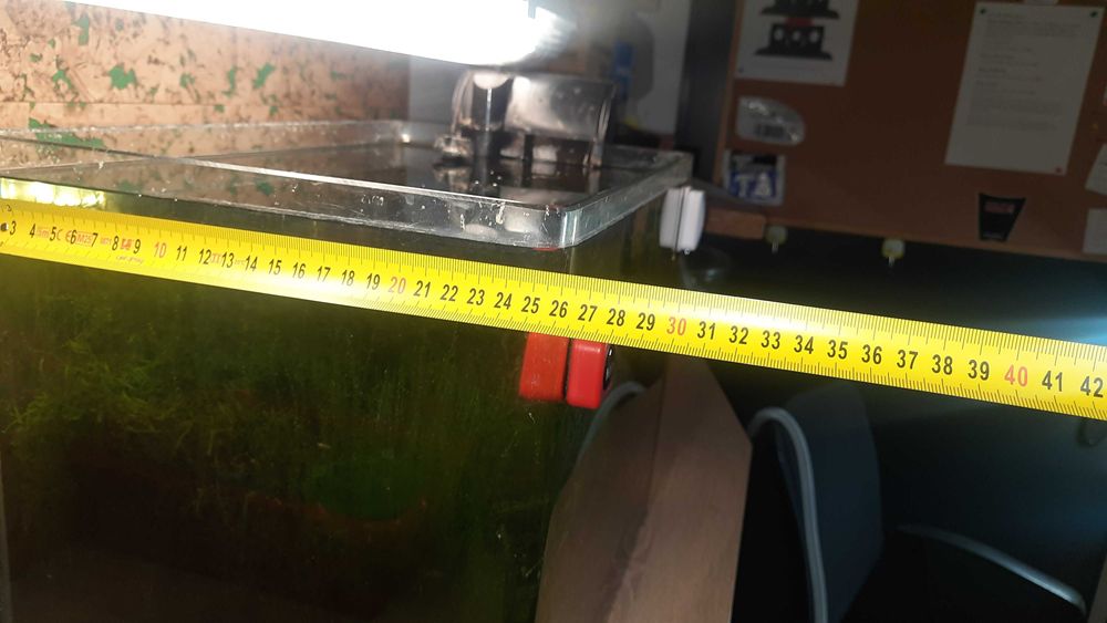 Akwarium krewetkarium sakura red i red cherry i rasowy glon około 200