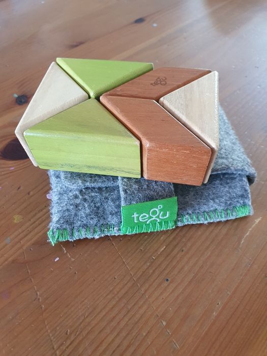 Drewniane klocki magnetyczne Tegu 6 szt.