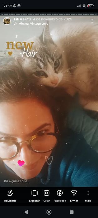 Adoção — Gata jovem esterilizada e desparasitada