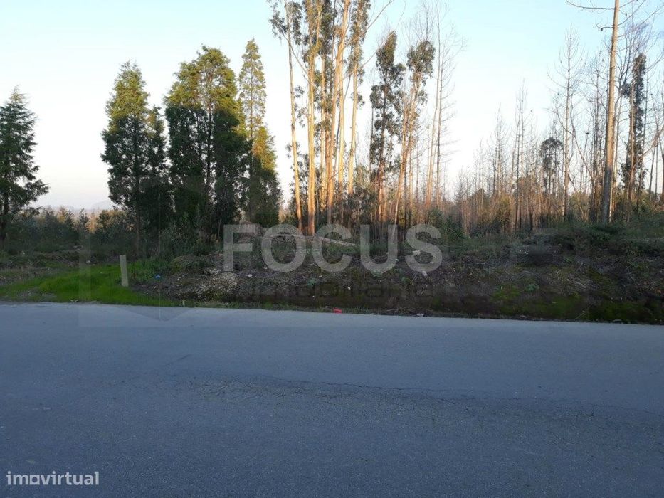 Terreno para loteamento Aveiro - Nariz