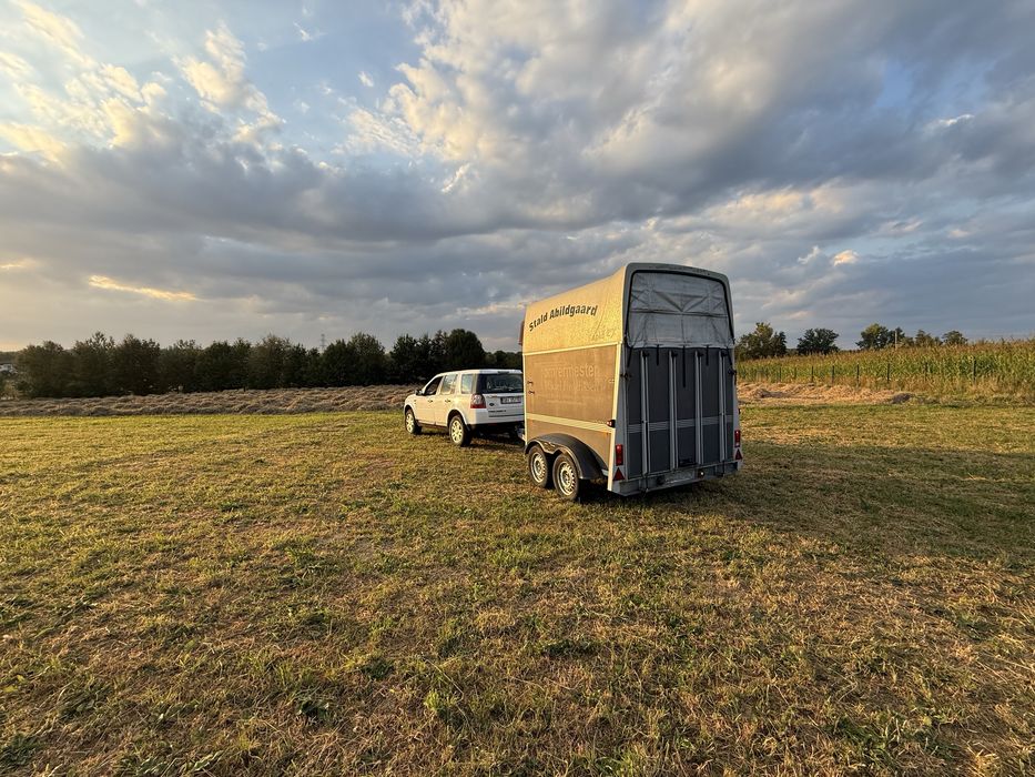 Przyczepa do przewozu koni konna zwierząt humbaur  rapid koniowóz