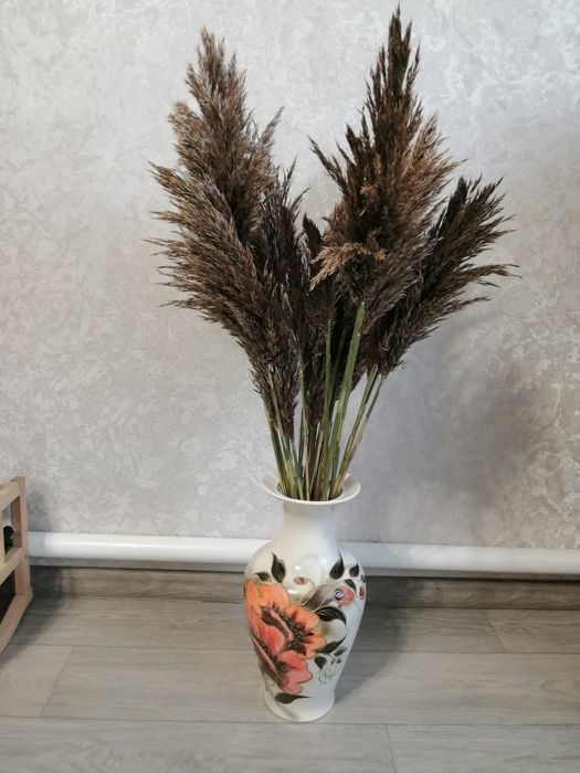 Очерет. Тростник. Камиш. Пампасна трава