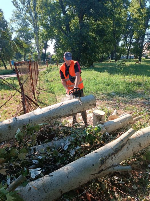 Уборка участка под ключ, покос травы, спил деревьев, корчевка пней.