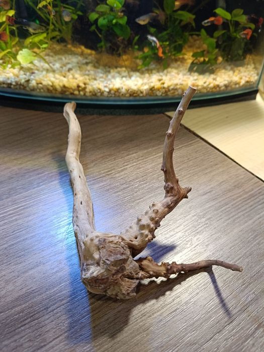 Коряга для акваріуму. 110 грн