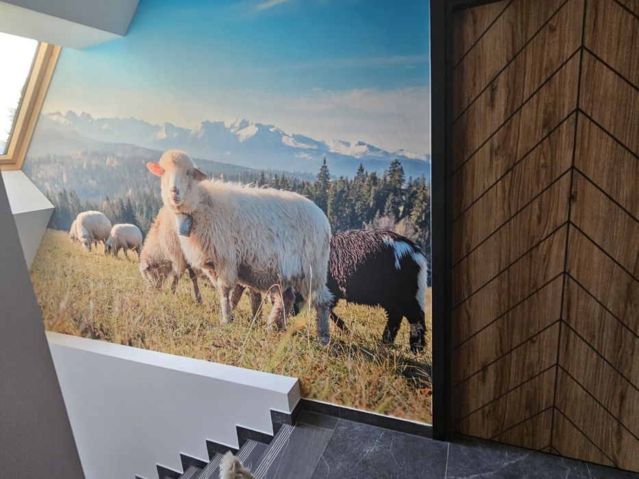 Pokoje i Apartamenty Góralskie Spanie obok Chochołowskich Term Witów