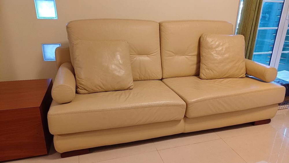 Sofá em pele 300€.