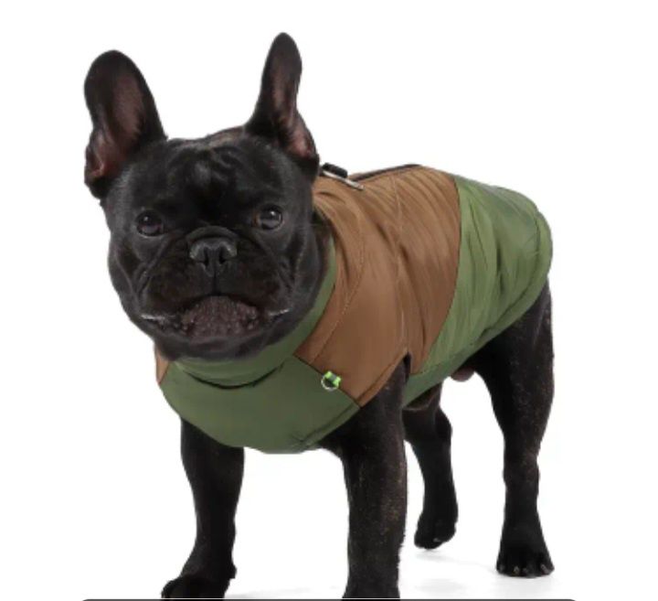 Жилетка для песика