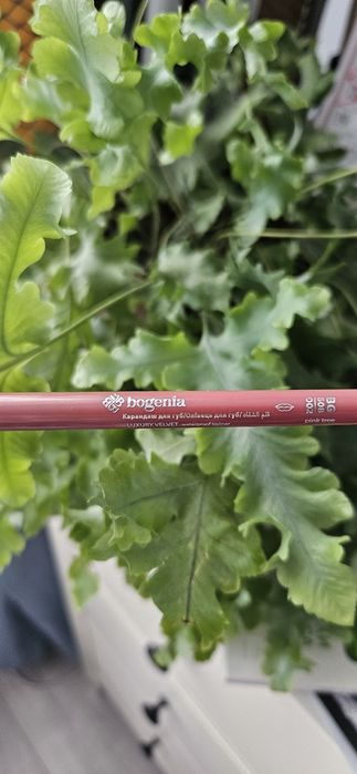 Пропоную Вашій увазі!