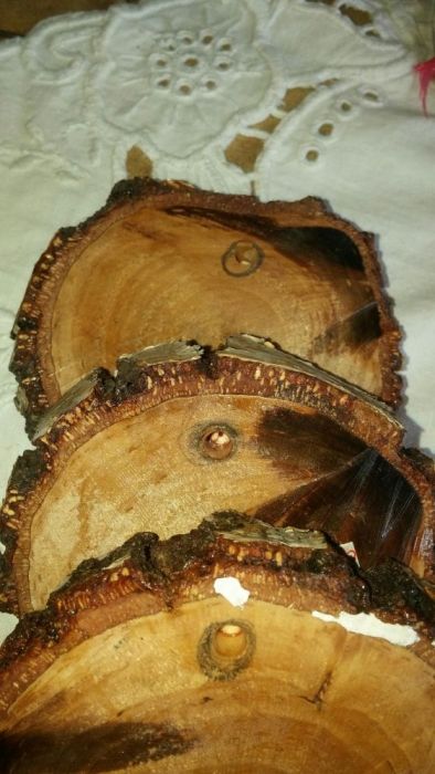 Ręcznie malowane na drewnie obrazki rękodzieło brzoza róża liście