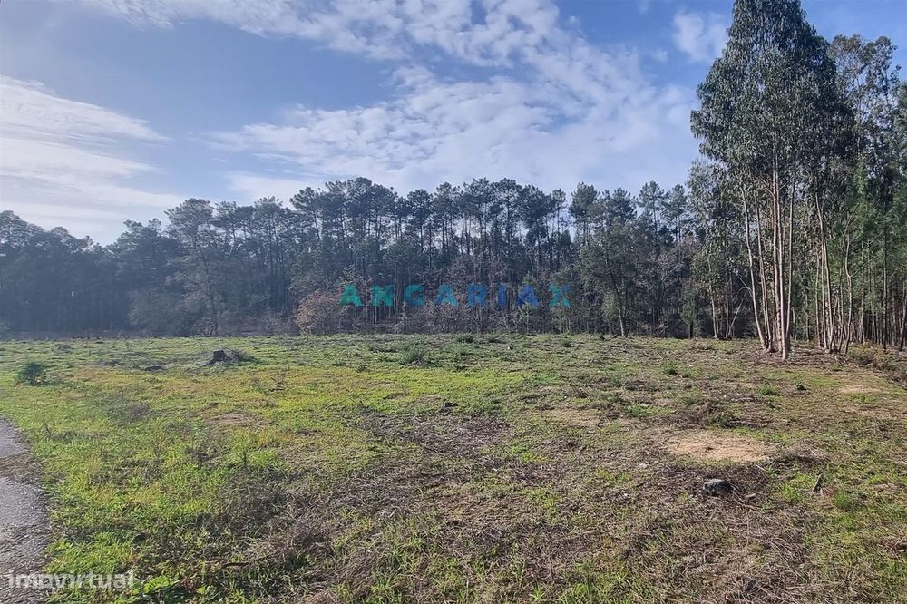 ANG1017 - Terreno de 4174m2 à Venda em Maceira, Leiria