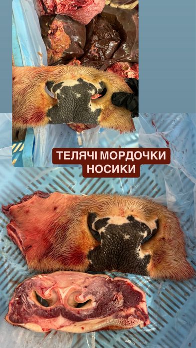 Мʼясо для собак . Яловичина