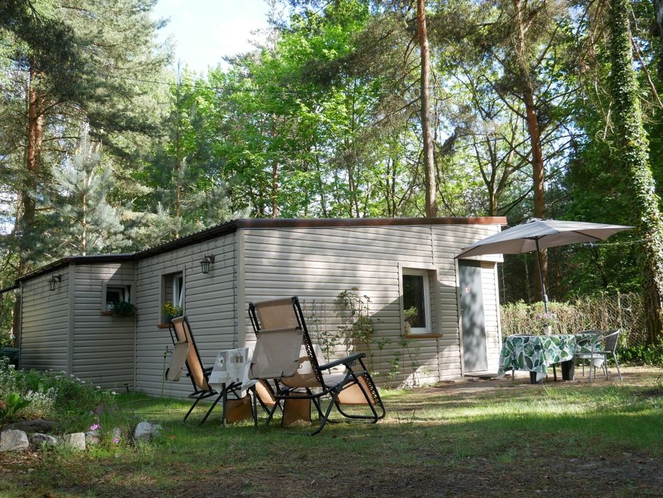 Domek leśny całoroczny 40m2