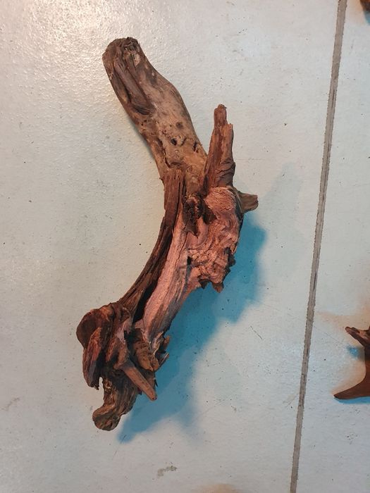 Korzenie do akwarium Dark wood Kraków (Swoszowice)