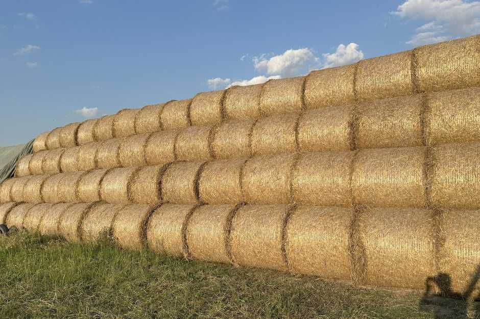 Sprzedam słomę w belach 120×120