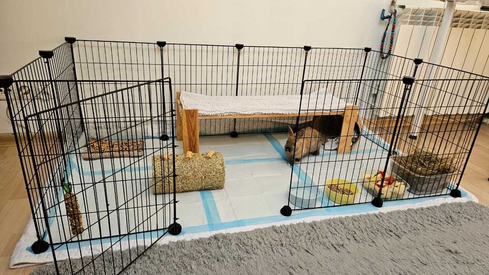 Wybieg Kojec Klatka dla Świnki Morskiej Królika Gryzoni Gryzonia NOWY