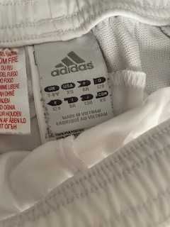 Kit oficial Adidas SLBenfica 20/21