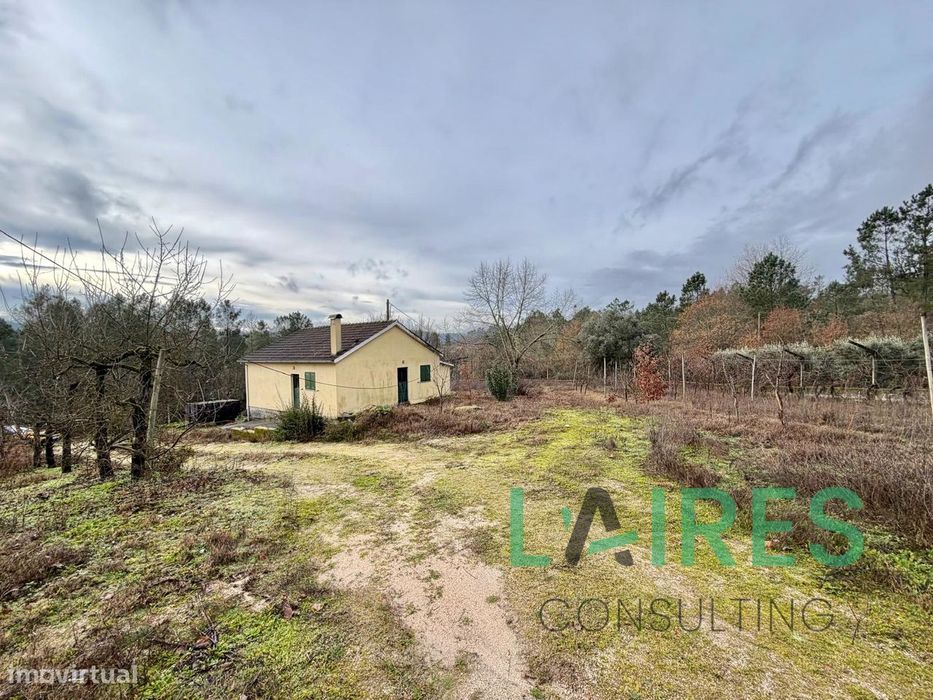 Quinta Agrícola de 4ha com Moradia T1  – Sezures, Penalva do Castelo