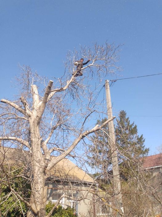 Уборка участка,расчистка заброшек и вспашка огорода.