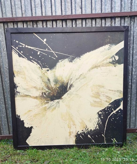 Zestaw 3 obrazy maki