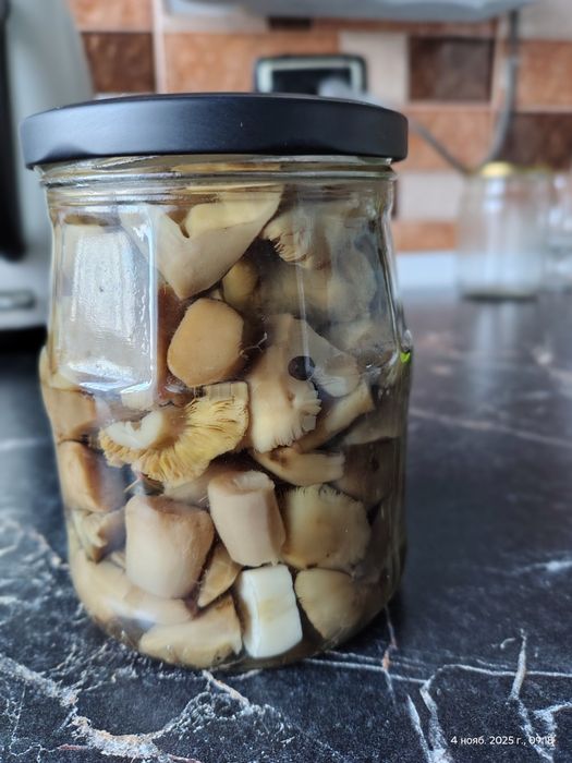 Продам маринованные грибы