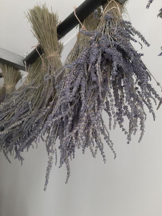 Лавандин . Ароматный