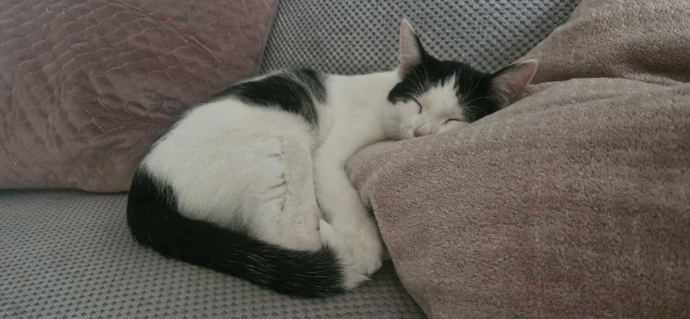 W domu tymczasowym dostałem ksywę Księgowy