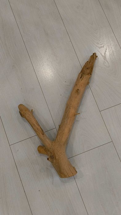 Коряги в акваріум або тераріум.