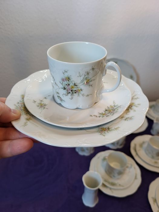 Serwis Rosenthal Classic Rose Monbijou Grün Ranke.