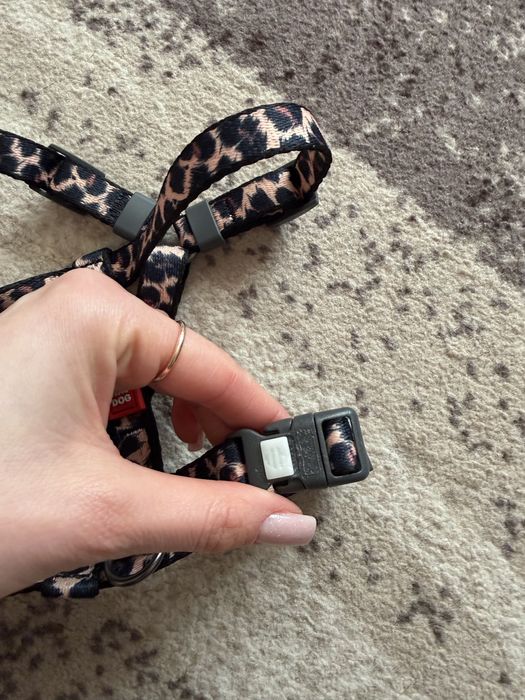 Шлея для собачки