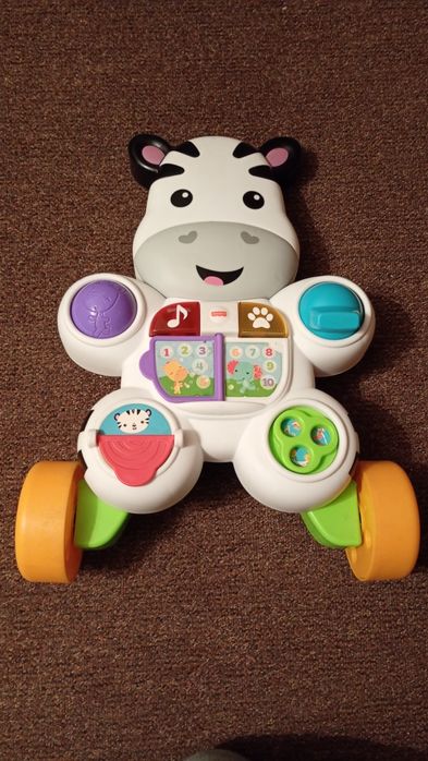 Pchacz zebra muzyczna