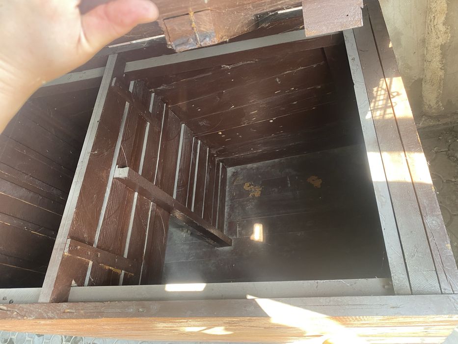 Бутка доя собаки