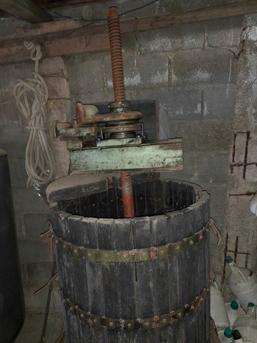 Utensílio de vindima