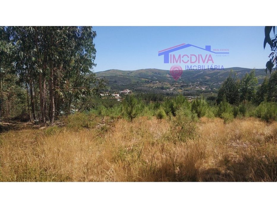 Terreno florestal com mais de 30000 m2 - Alvares, Góis