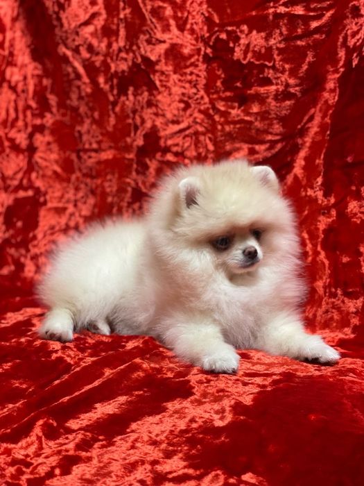 Наш ребёнок  ждёт именно вас