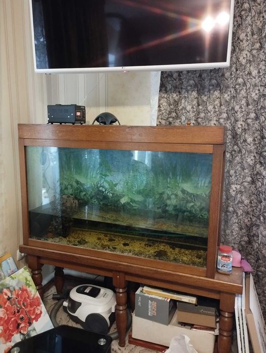 Акваріум 300 літрів