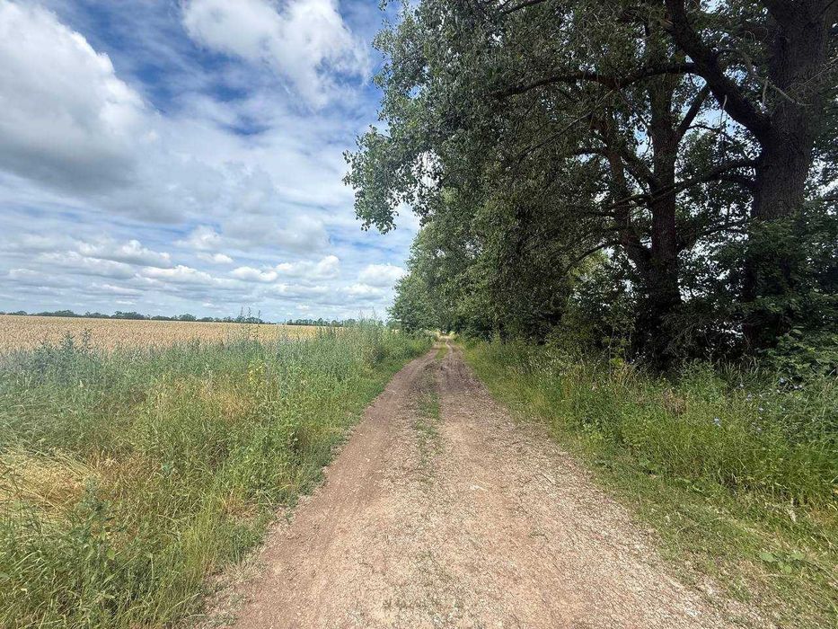 Продається земельна ділянка в с. Іванівка 7811
