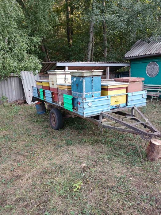 Пасіка, бджолосім'ї на причепі