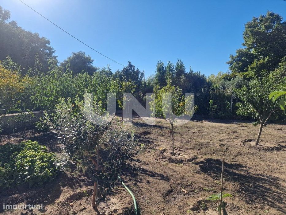 Quinta - Reguengo e São Julião - Um refúgio entre o campo e a serra!