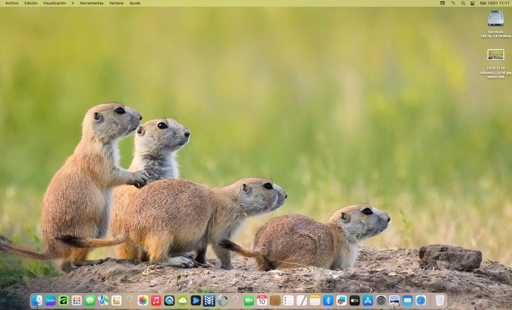 Apple iMac 2017 21.5" 64GB de RAM - 2TB de Disco SSD