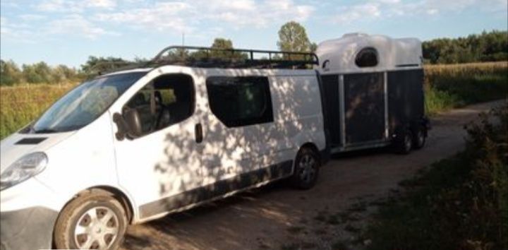 Transport koni okolice Wrocławia