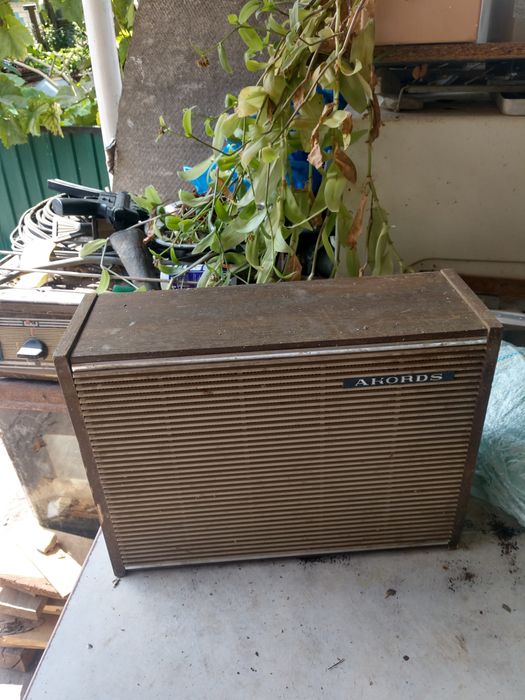 Динамік СРСР новий